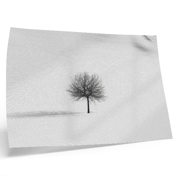 Plakat na platnu Motiv harmonije minimalistične zimske drevesne pokrajine