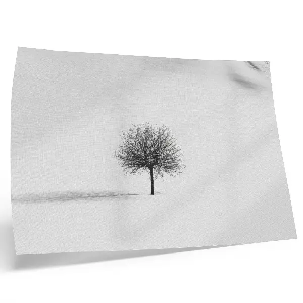 Plakat na platnu motiv harmonije minimalistične zimske pokrajine z drevesi