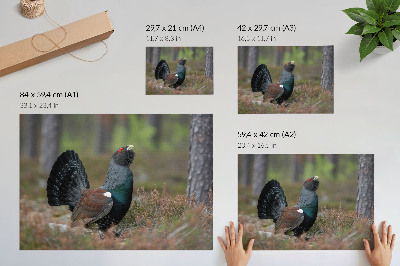 Plakat s teksturo platna Ptičje barve gozd narava mirno vzdušje