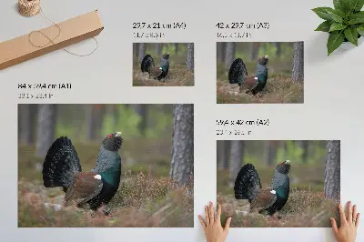 Plakat s teksturo platna ptičje barve v gozdu z mirnim vzdušjem narave
