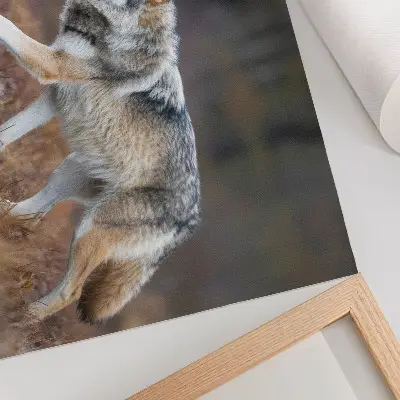 Plakat na platnu volk v gibanju v divji naravni pokrajini
