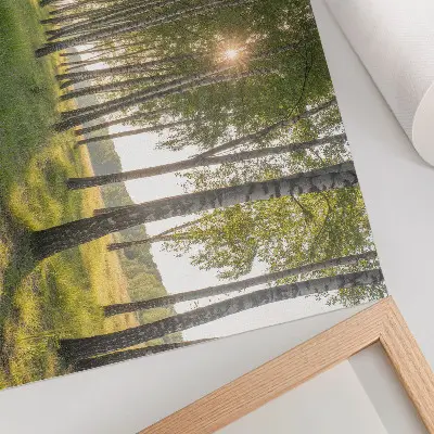 Plakat na platnu brezov gozd s sončnimi žarki in simetrijo v zeleni barvi