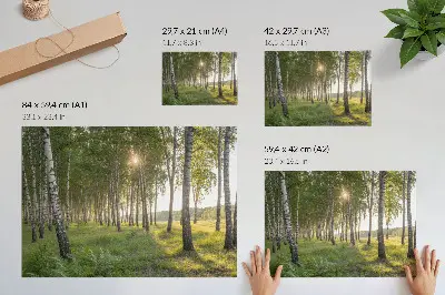 Plakat na platnu brezov gozd s sončnimi žarki in simetrijo v zeleni barvi