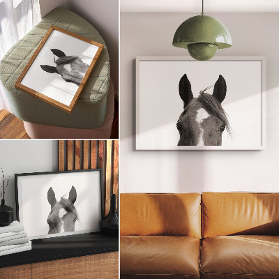 Plakat s teksturo platna Črno-bela fotografija konjske elegance