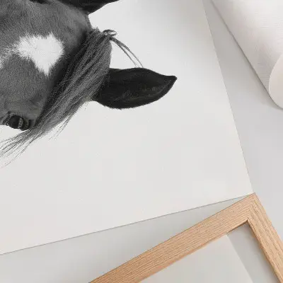 Plakat s teksturo platna Črno-bela fotografija konjske elegance črno-bela fotografija s teksturo platna