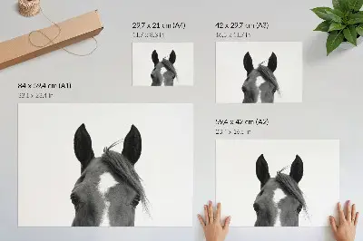Plakat s teksturo platna Črno-bela fotografija konjske elegance črno-bela fotografija s teksturo platna