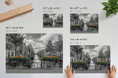 Plakat na platnu Očarljiv pogled na kanal, kolesa, tulipane, črno in oranžno