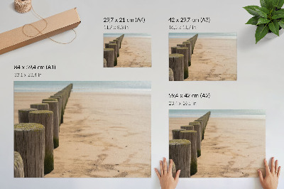 Plakat na platnu Leseni koli plaža morje mir narava