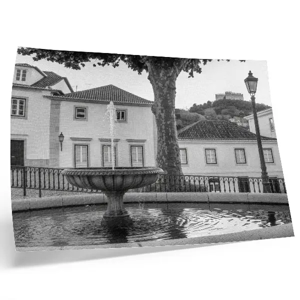 Plakat črno-bela fontana s klasično grajsko stavbo