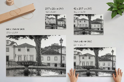 Plakat Črno-bela fontana klasične stavbe grad
