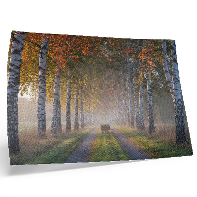 Plakat s teksturo platna Simetrične breze, meglena svetloba, jesenska aleja