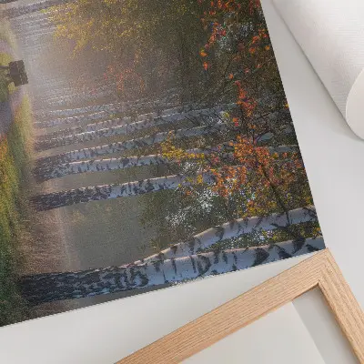 Plakat s teksturo platna simetrične breze v jesenski aleji z megleno svetlobo