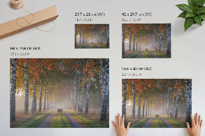 Plakat s teksturo platna Simetrične breze, meglena svetloba, jesenska aleja