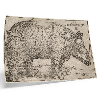 Plakat s teksturo platna Nosorog (1515), Albrecht Dürer