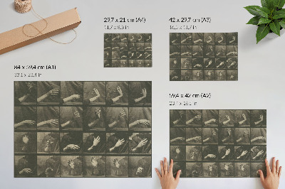 Plakat na platnu Gibanje živali, plošča 535 (1887), avtor Eadweard Muybridge