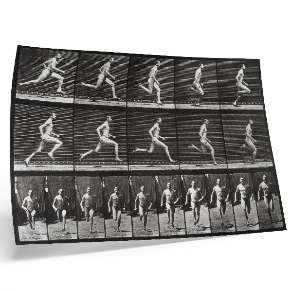 Plakat Plošča 60 z Gibanje živali (1887), ki jo je fotografiral Eadweard Muybridge
