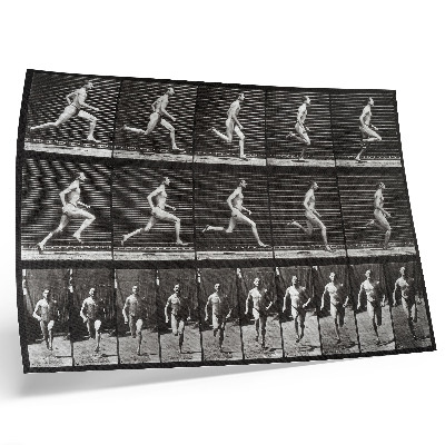 Plakat Plošča 60 z Gibanje živali (1887), ki jo je fotografiral Eadweard Muybridge