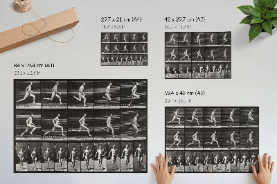Plakat Plošča 60 z Gibanje živali (1887), ki jo je fotografiral Eadweard Muybridge
