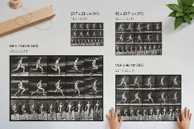 Plakat plošča 60 z Gibanjem živali (1887) fotografa Eadwearda Muybridgea