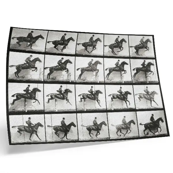 Plakat na platnu Plošča gibanja živali 640 (1887), jahanje, avtor fotografije Eadweard Muybridge