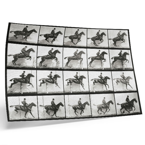 Plakat na platnu Plošča gibanja živali 640 (1887), jahanje, fotografiral Eadweard Muybridge
