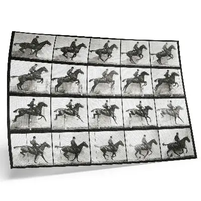 Plakat na platnu Plošča gibanja živali 640 (1887), jahanje, avtor fotografije Eadweard Muybridge