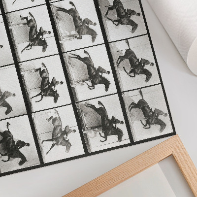 Plakat na platnu Plošča gibanja živali 640 (1887), jahanje, fotografiral Eadweard Muybridge
