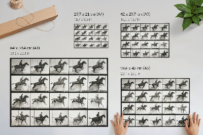 Plakat na platnu Plošča gibanja živali 640 (1887), jahanje, fotografiral Eadweard Muybridge