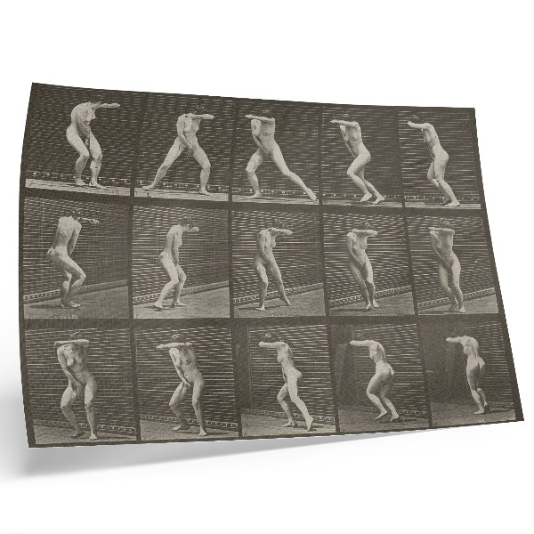 Plakat s teksturo platna Številka tablice 73. Presenečen obračanje in beg (1887), avtor Eadweard Muybridge
