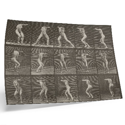 Plakat s teksturo platna Številka tablice 73. Presenečen obračanje in beg (1887), avtor Eadweard Muybridge