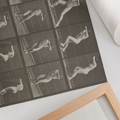 Plakat s teksturo platna Številka tablice 73. Presenečen obračanje in beg (1887), avtor Eadweard Muybridge