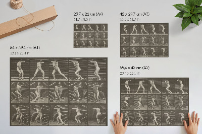 Plakat s teksturo platna Številka tablice 73. Presenečen obračanje in beg (1887), avtor Eadweard Muybridge