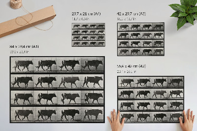 Plakat Bik na pohodu. Fototip po Eadweardu Muybridgeu, 1887