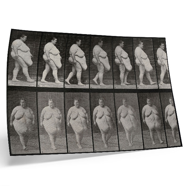 Plakat s teksturo platna Debela ženska hodi. Fototip po Eadweardu Muybridgeu, 1887