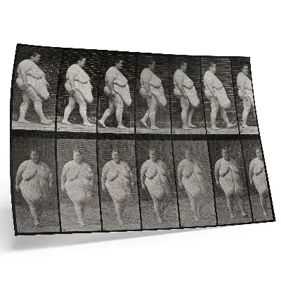 Plakat s teksturo platna debelo žensko hodi, fototip po Eadweardu Muybridgeu iz leta 1887
