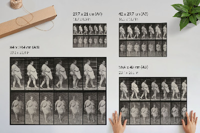 Plakat s teksturo platna Debela ženska hodi. Fototip po Eadweardu Muybridgeu, 1887