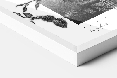 Bel Okvir Za Sliko 50x50 cm