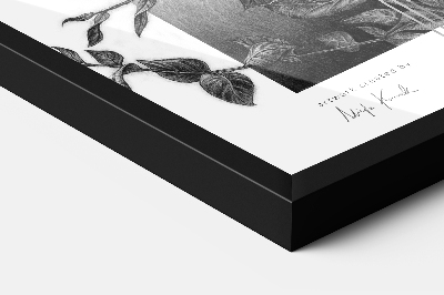 Črn Okvir Za Fotografije 20x30 cm