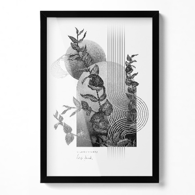 Črn Okvir Za Steno 40x60 cm