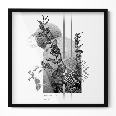 Črn Foto Okvir 50x50 cm