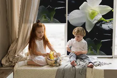 Notranje senčilo Orhideje in eleganca