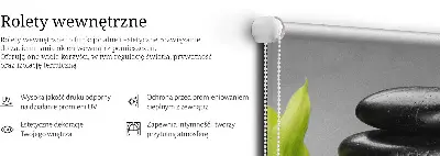 Notranje senčilo Orhideja na kamnih