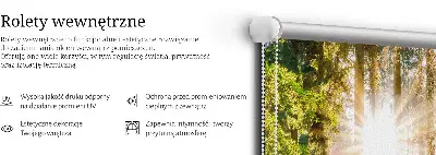 Notranje senčilo za okno Sonce, ki sije skozi drevesa