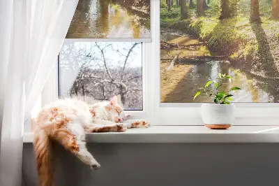 Notranje senčilo za okno Sonce, ki sije skozi drevesa