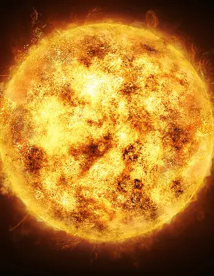 Notranje okensko senčilo Rumena mreža