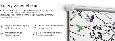 Notranje okensko senčilo Ptice na vejah