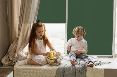 Notranje senčilo za okno Zelena