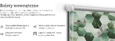 Senčilo za balkonska vrata Zeleni šesterokotniki