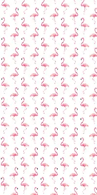 Notranje senčilo za okno Flamingi