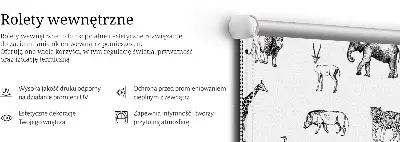 Senčilo za okno Živali